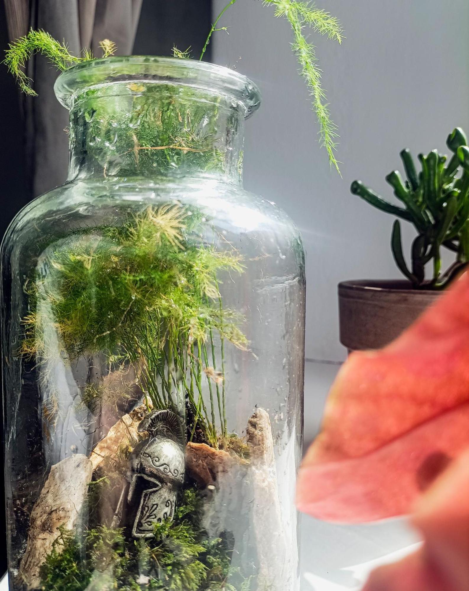 Friendly Little Studio ブラショフ エクステリア 写真
